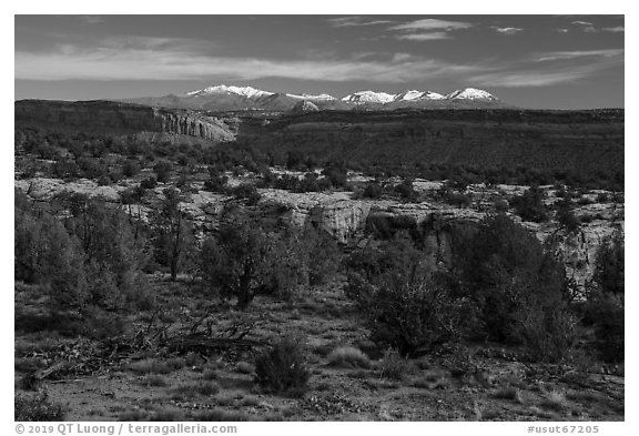 Cedar Mesa and snowy Abajo Mountains. Bears Ears National Monument, Utah, USA (black and white)
