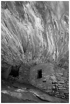 House on Fire Ruin. Bears Ears National Monument, Utah, USA ( black and white)