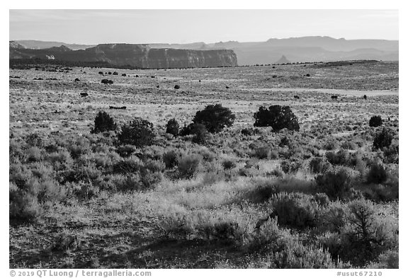 Hatch Point Plateau. Bears Ears National Monument, Utah, USA (black and white)