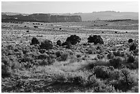 Hatch Point Plateau. Bears Ears National Monument, Utah, USA ( black and white)