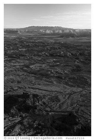 Indian Creek from Needles Overlook, sunset. Bears Ears National Monument, Utah, USA (black and white)