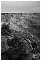 Canyon Rims, dusk. Bears Ears National Monument, Utah, USA ( black and white)