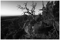 Cedar Mesa from Salvation Knoll, sunrise. Bears Ears National Monument, Utah, USA ( black and white)