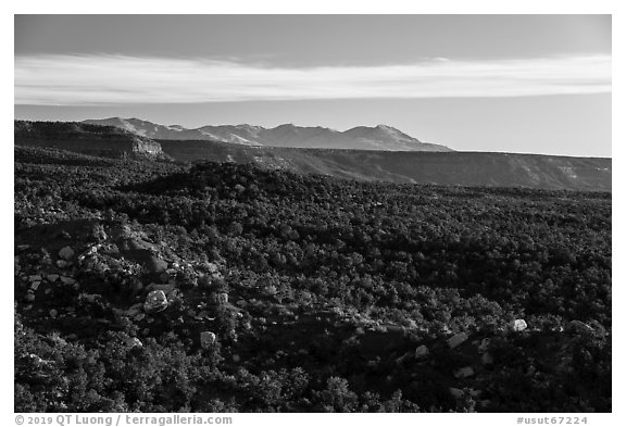 Blue Mountains from Salvation Knoll. Bears Ears National Monument, Utah, USA (black and white)