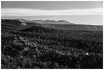 Blue Mountains from Salvation Knoll. Bears Ears National Monument, Utah, USA ( black and white)
