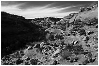 Road Canyon from rim. Bears Ears National Monument, Utah, USA ( black and white)