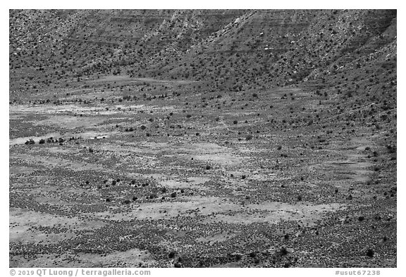 Distant detail, Valley of the Goods floor and cliffs. Bears Ears National Monument, Utah, USA (black and white)