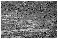 Distant detail, Valley of the Goods floor and cliffs. Bears Ears National Monument, Utah, USA ( black and white)