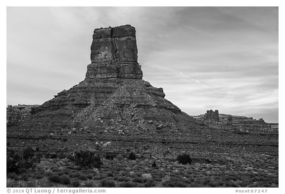 Buttes, Valley of the Gods. Bears Ears National Monument, Utah, USA (black and white)