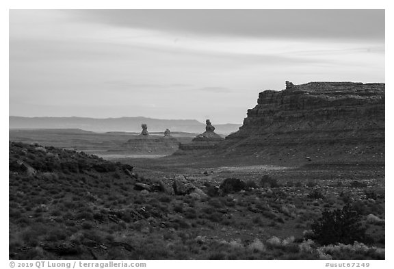 Cliff and monoliths at dusk, Valley of the Gods. Bears Ears National Monument, Utah, USA (black and white)