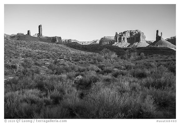 Desert vegetation, butte and spires, Valley of the Gods. Bears Ears National Monument, Utah, USA (black and white)