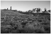 Desert vegetation, butte and spires, Valley of the Gods. Bears Ears National Monument, Utah, USA ( black and white)