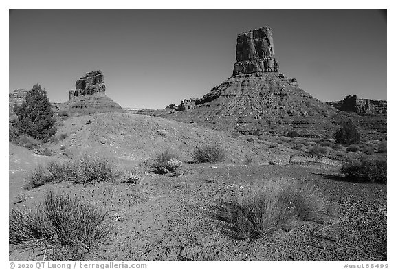 Sandstone buttes in Valley of the Gods. Bears Ears National Monument, Utah, USA (black and white)