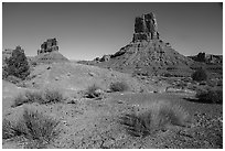 Sandstone buttes in Valley of the Gods. Bears Ears National Monument, Utah, USA ( black and white)