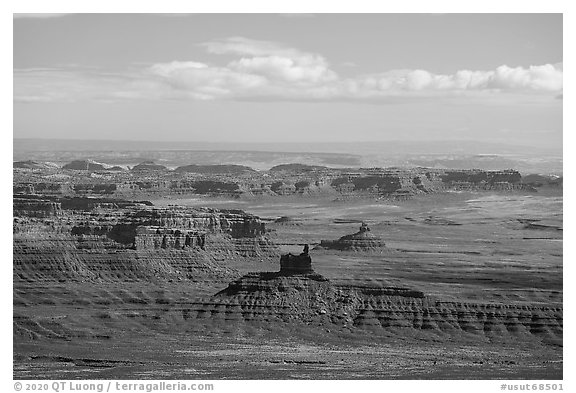 Distant view of Valley of the Gods. Bears Ears National Monument, Utah, USA (black and white)