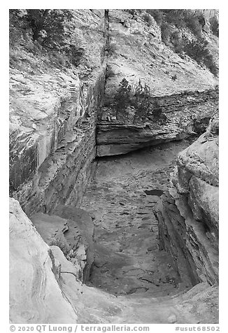 Slickrock chute, Bullet Canyon. Bears Ears National Monument, Utah, USA (black and white)