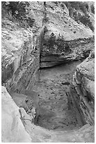 Slickrock chute, Bullet Canyon. Bears Ears National Monument, Utah, USA ( black and white)