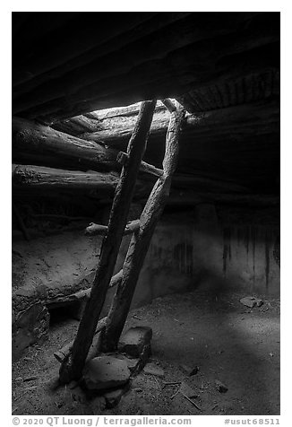 Ladder, Perfect Kiva. Bears Ears National Monument, Utah, USA (black and white)