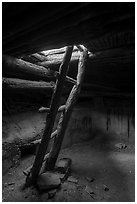 Ladder, Perfect Kiva. Bears Ears National Monument, Utah, USA ( black and white)