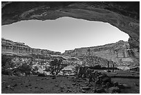 Looking out of alcove from Perfect Kiva. Bears Ears National Monument, Utah, USA ( black and white)