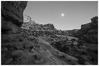 Bullet Canyon and moon at twilight. Bears Ears National Monument, Utah, USA ( black and white)