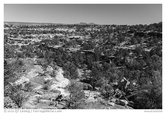 Canyons and Bears Ears Buttes in the distance. Bears Ears National Monument, Utah, USA (black and white)