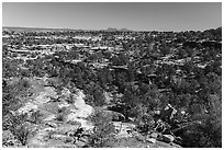 Canyons and Bears Ears Buttes in the distance. Bears Ears National Monument, Utah, USA ( black and white)