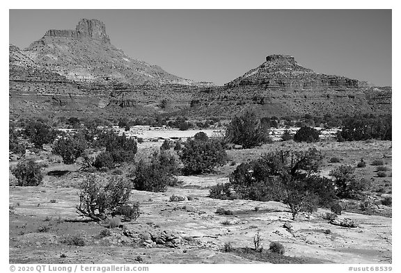 Slickrock and buttes, Soldiers Crossing. Bears Ears National Monument, Utah, USA (black and white)