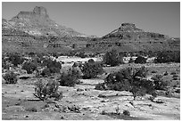 Slickrock and buttes, Soldiers Crossing. Bears Ears National Monument, Utah, USA ( black and white)