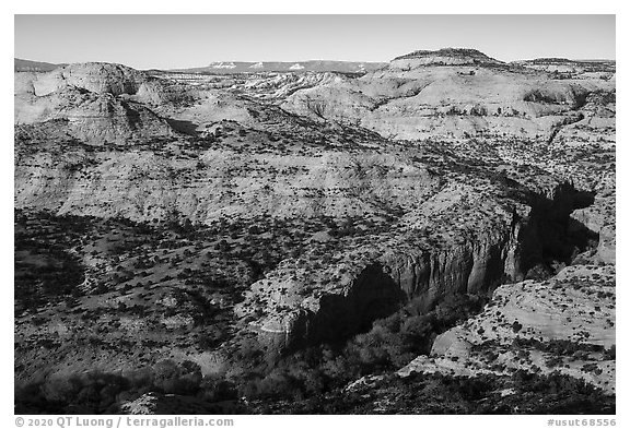 Sandstone canyons and domes from Hogback Ridge. Grand Staircase Escalante National Monument, Utah, USA (black and white)