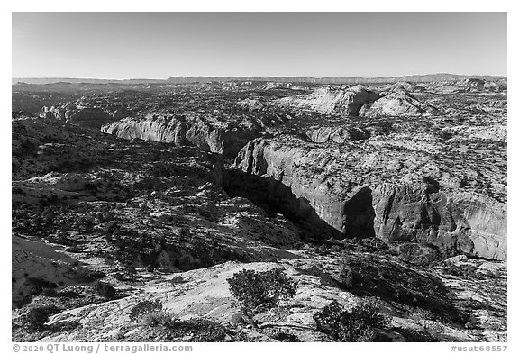Slickrock and canyons from Hogback Ridge. Grand Staircase Escalante National Monument, Utah, USA (black and white)