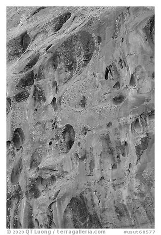 Holes in Kayenta Sandstone cliffs, Long Canyon. Grand Staircase Escalante National Monument, Utah, USA (black and white)