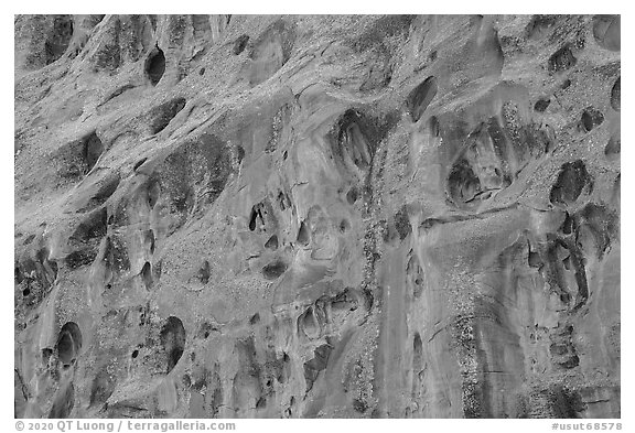 Cliff with holes, Long Canyon. Grand Staircase Escalante National Monument, Utah, USA (black and white)