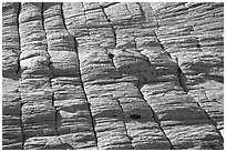 Crossbedded Navajo Sandstone, Burr Trail. Grand Staircase Escalante National Monument, Utah, USA ( black and white)