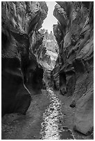 Willis Creek flowing in narrows. Grand Staircase Escalante National Monument, Utah, USA ( black and white)
