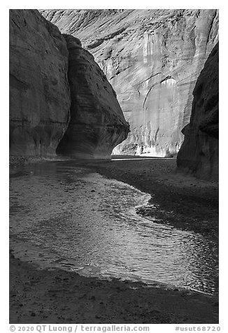 Paria River in Paria Canyon. Grand Staircase Escalante National Monument, Utah, USA (black and white)
