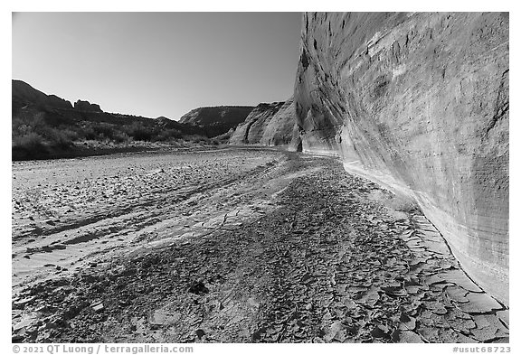 Cliffs and cracked mud. Paria Canyon Vermilion Cliffs Wilderness, Arizona, USA (black and white)