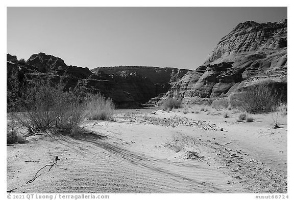 Sand dune. Paria Canyon Vermilion Cliffs Wilderness, Arizona, USA (black and white)