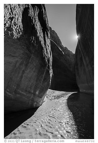 Paria River Canyon and sun. Paria Canyon Vermilion Cliffs Wilderness, Arizona, USA (black and white)