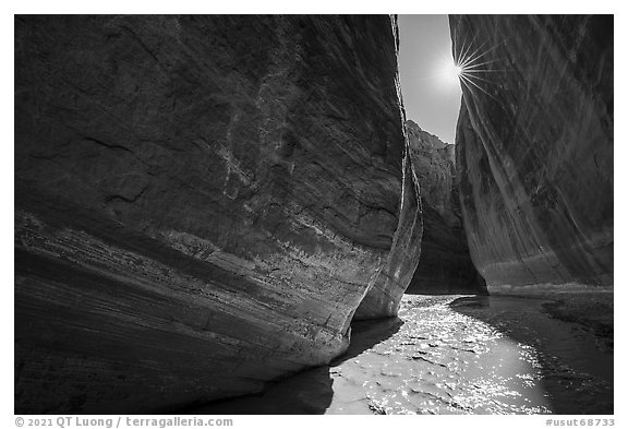 Paria River Canyon walls and sun. Paria Canyon Vermilion Cliffs Wilderness, Arizona, USA (black and white)