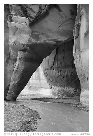 Paria River flowinng through Sliderock Arch. Paria Canyon Vermilion Cliffs Wilderness, Arizona, USA (black and white)