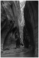Glow in tall canyon walls. Vermilion Cliffs National Monument, Arizona, USA ( black and white)