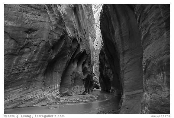Paria River flowing in glowing slot canyon. Vermilion Cliffs National Monument, Arizona, USA (black and white)