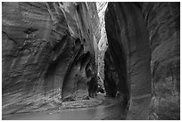 Paria River flowing in glowing slot canyon. Vermilion Cliffs National Monument, Arizona, USA ( black and white)
