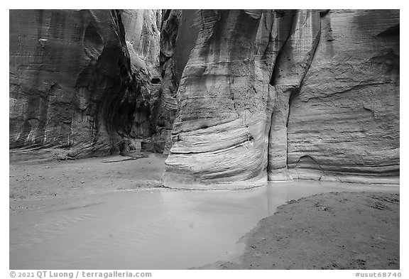 Confluence of Paria Canyon and Buckskin Gulch. Paria Canyon Vermilion Cliffs Wilderness, Arizona, USA (black and white)