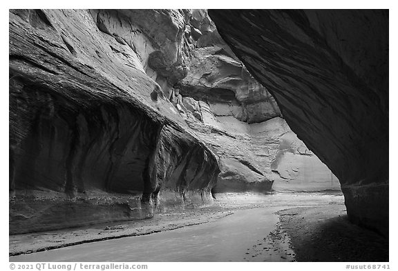 Paria River in narrow section of canyon. Paria Canyon Vermilion Cliffs Wilderness, Arizona, USA (black and white)