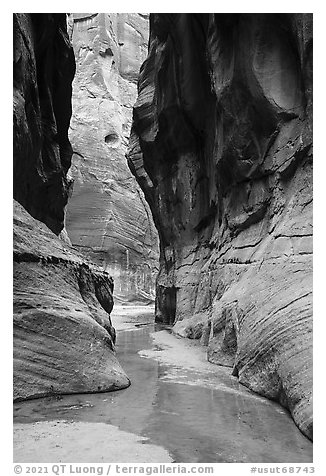Buckskin Gulch near its confluence with Paria Canyon. Paria Canyon Vermilion Cliffs Wilderness, Arizona, USA (black and white)