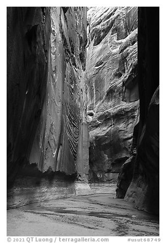 Buckskin Gulch slot canyon. Paria Canyon Vermilion Cliffs Wilderness, Arizona, USA (black and white)