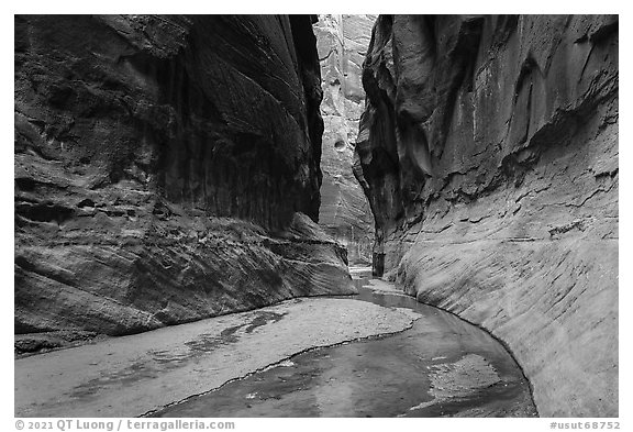 Clear waters of Buckskin Gulch at the confluence. Paria Canyon Vermilion Cliffs Wilderness, Arizona, USA (black and white)
