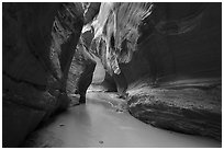 Muddy waters of the Paria River in Paria Canyon. Vermilion Cliffs National Monument, Arizona, USA ( black and white)